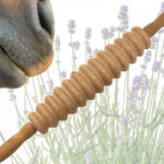 Aromaöl Massageöl Aromatherapie LaziRoll No.1 Faszienrolle Pferd Tiergesundheit Physiotherapie Massage Pferd