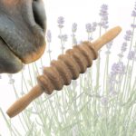 Aromaöl Massageöl Aromatherapie LaziRoll No.2 Faszienrolle Pferd Tiergesundheit Physiotherapie Massage Pferd