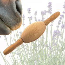 Aromaöl Massageöl Aromatherapie LaziRoll No.3 Faszienrolle Pferd Tiergesundheit Physiotherapie Massage Pferd