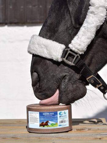 LaziRoll-Equiblock-Leckstein-Tierwohl-Ernährung-Pferd